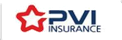 PVI logo